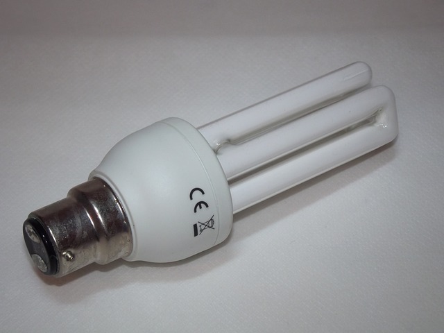 bombilla de ahorro de energía